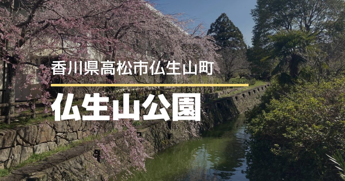仏生山公園のしだれ桜が満開【高松市仏生山町】春の訪れを感じる