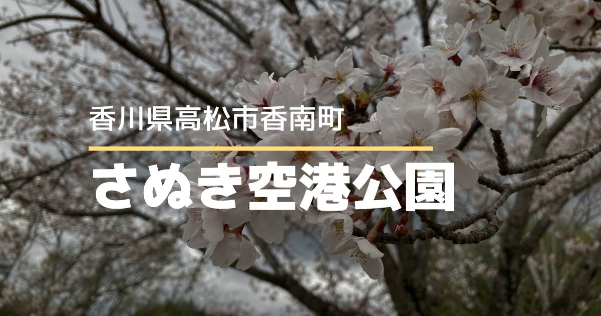 さぬき空港公園の桜が満開！【高松市香南町】香川県の桜の名所