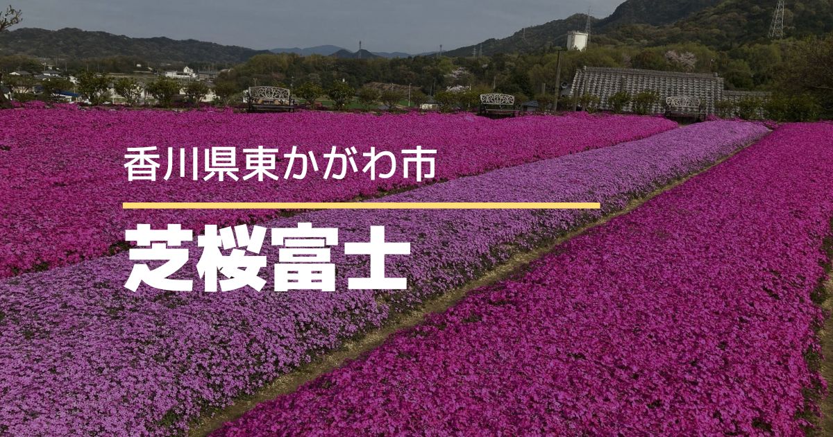 芝桜富士【香川県東かがわ市】富士山をかたどった芝桜が楽しめる私設公園
