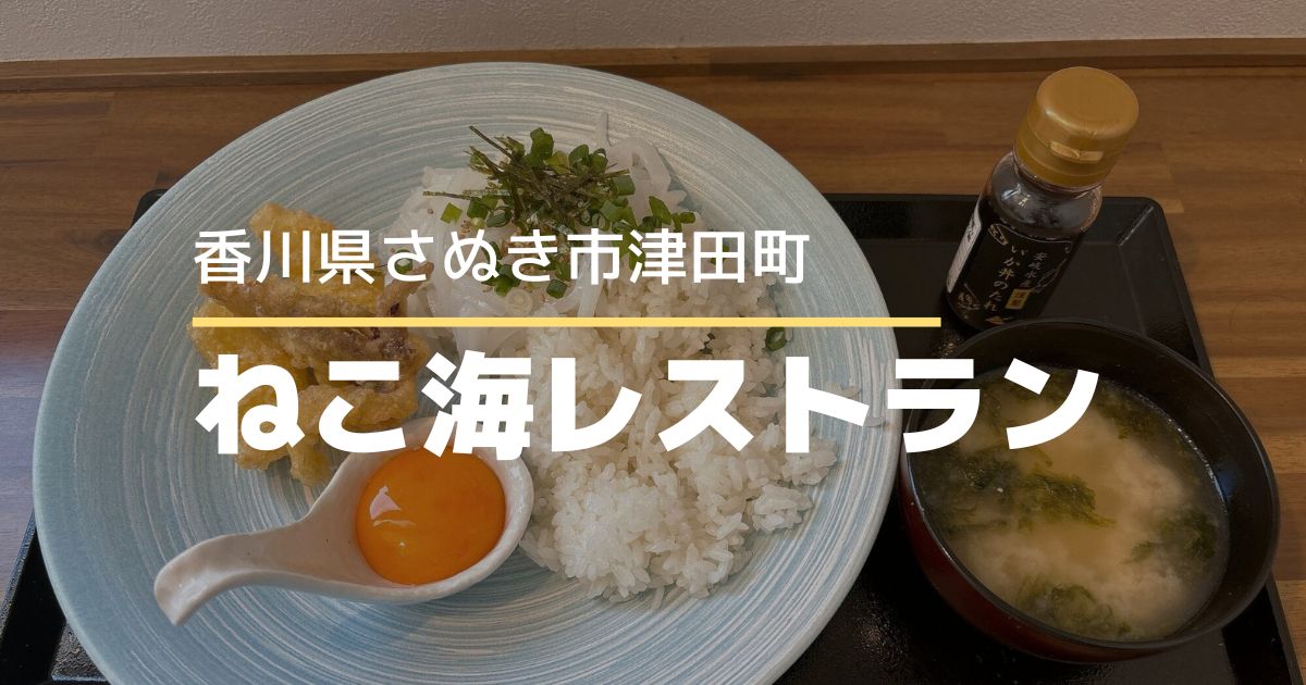 ねこ海レストラン【さぬき市津田町】限定25食！あおりいかやイカ天がのせ放題の丼ぶり