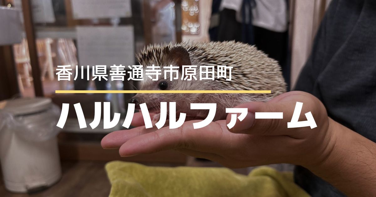 ハルハルファーム【善通寺市原田町】小動物たちとふれあいが楽しめるカフェ