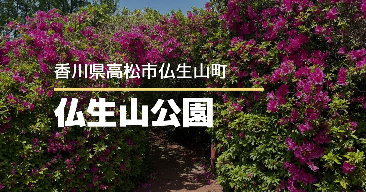 仏生山公園のツツジがピーク！ツツジのアーチと春の風景に癒されて