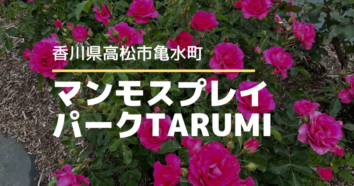 マンモスプレイパークTARUMI【高松市亀水町】バラ園がある美しい公園