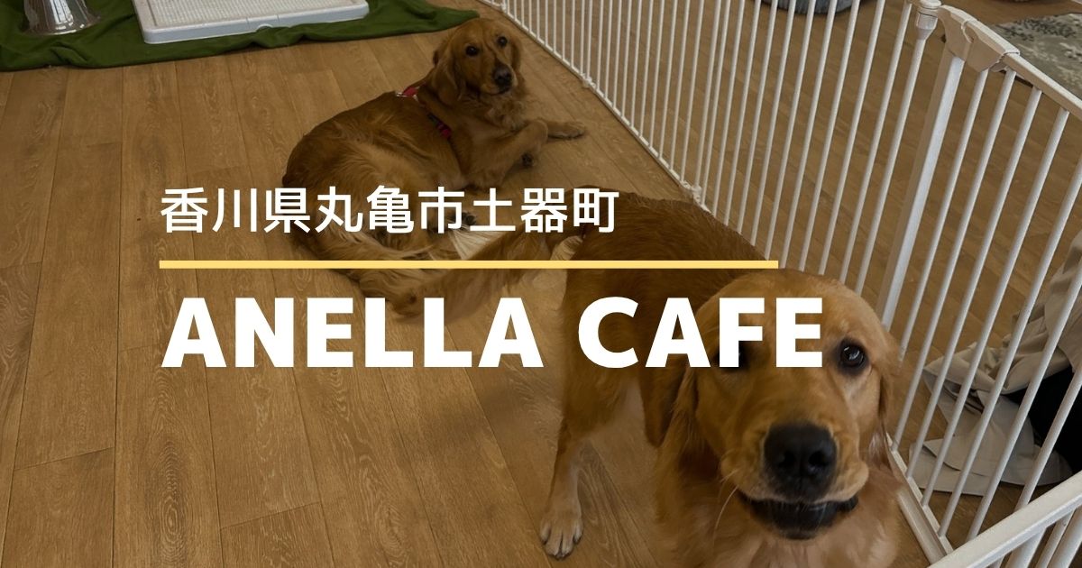 ANELLA CAFE【丸亀市土器町】保護犬とのふれあいが楽しめるお店