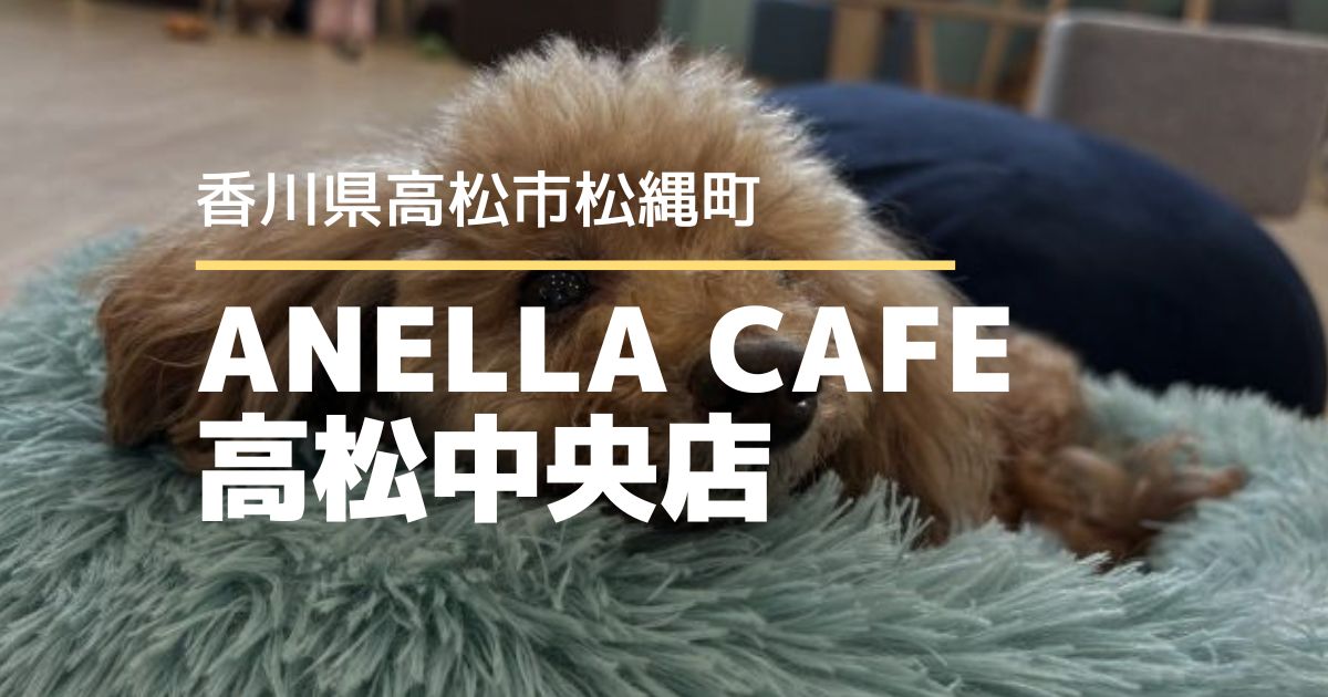 ANELLA CAFE 高松中央店【高松市松縄町】保護犬・保護猫に癒やされるカフェがオープン♪