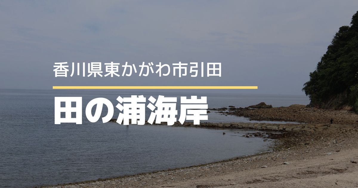 田の浦海岸【香川県東かがわ市】透明度抜群！夏に訪れたい海♪無料シャワーも完備
